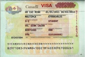 Канадская студенческая виза